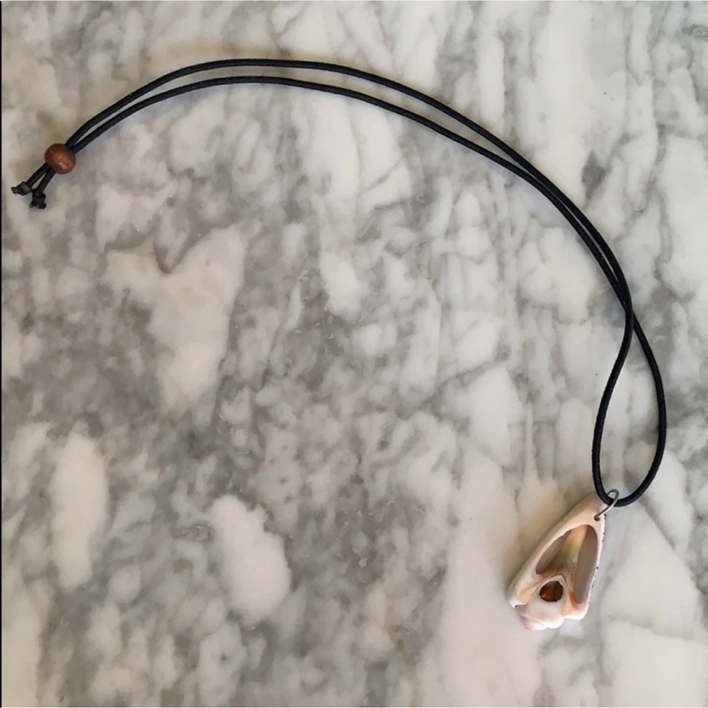 Shell necklace